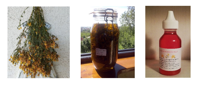 gospina trava za kupiti