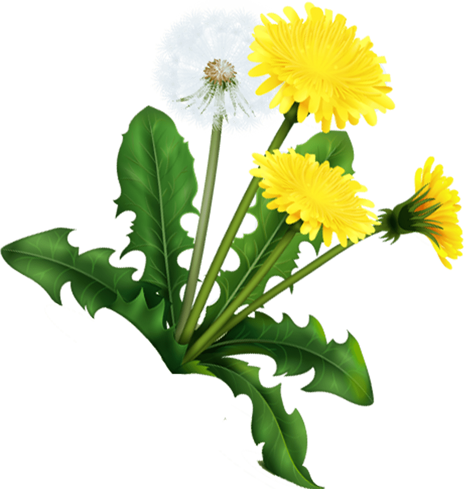 Image is not available